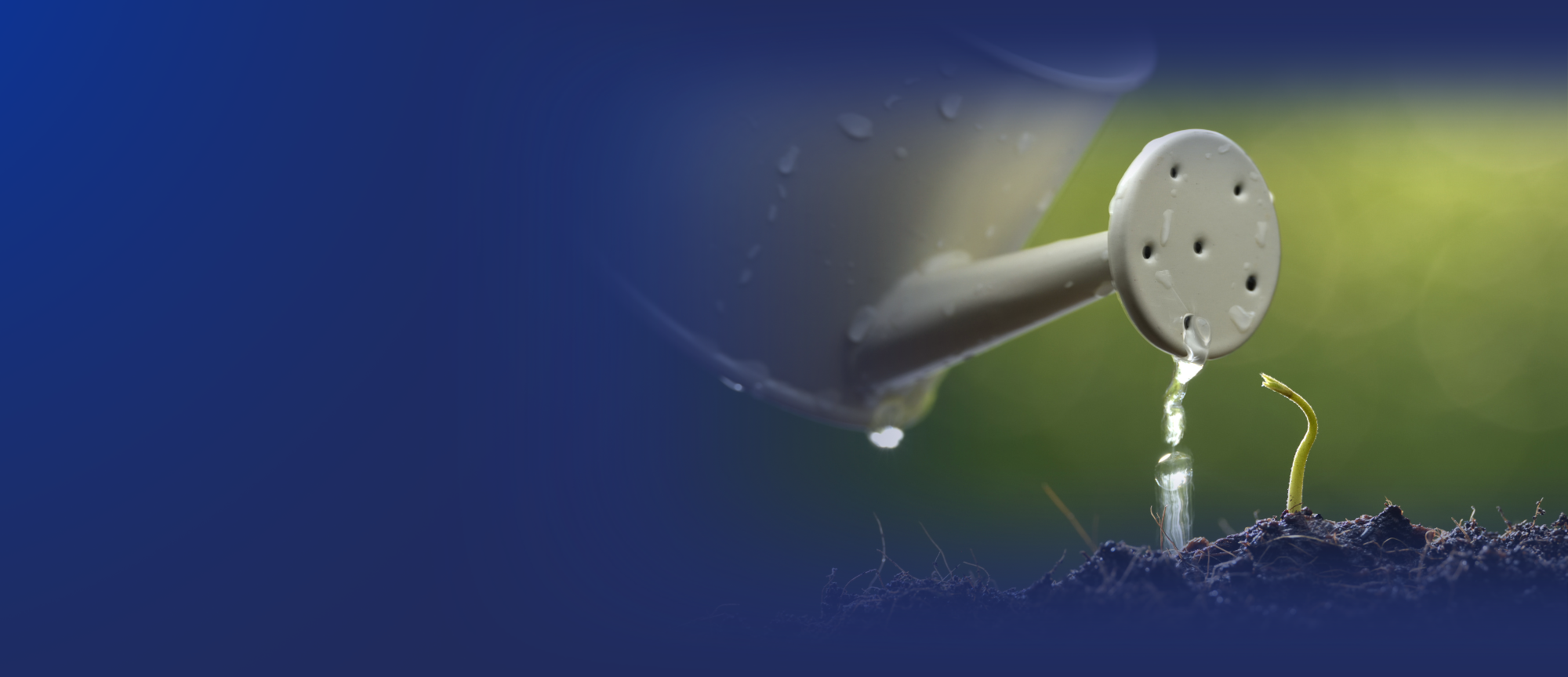 Free Wills Month*Consider leaving a legacy donation this free wills month.*GIFTS IN WILLS INFORMATION